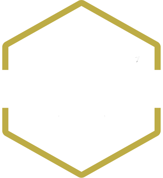 Launch Logo